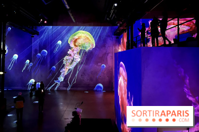 Océans, l'Odyssée Immersive à l'Atelier des Lumières - IMG 6181