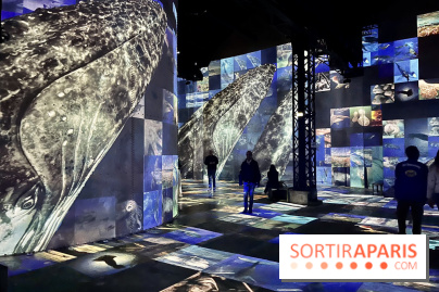 Océans, l'Odyssée Immersive à l'Atelier des Lumières