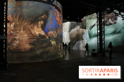 Océans, l'Odyssée Immersive à l'Atelier des Lumières