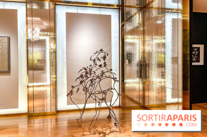 Les Fleurs du Mal, l'exposition gratuite sur les fleurs à la Maison Guerlain - Champs-Élysées