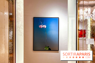 Les Fleurs du Mal, l'exposition gratuite sur les fleurs à la Maison Guerlain - Champs-Élysées - image00074