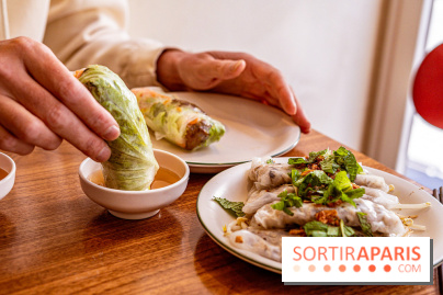Saigon d'Antan - restaurant vietnamien - rouleaux de printemps