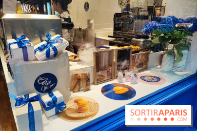 Ice Mama - Glacier - 1000055326