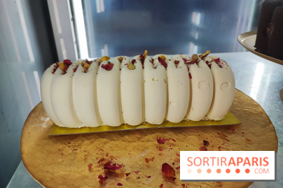 Ice Mama - Glacier - 1000055330