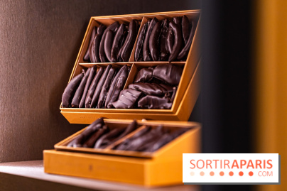 Louis Fouquet Montaigne - Chocolatier - confiseur