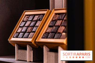 Louis Fouquet Montaigne - Chocolatier - confiseur