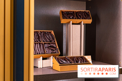 Louis Fouquet Montaigne - Chocolatier - confiseur