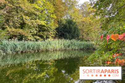 Le parc de l'Île Verte à Chatenay-Malabry - nos photos - image00548