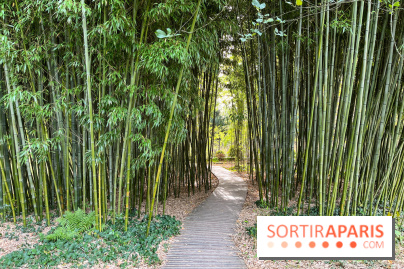 Le parc de l'Île Verte à Chatenay-Malabry - nos photos - image00542