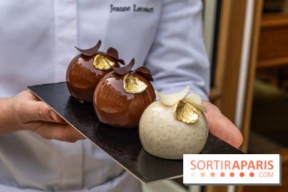 Bûche de Noël du Saint James 2023 par Jeanne Lacourt