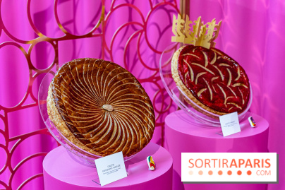 Les bûches de Noël 2023 et galettes 2024 de Pierre Hermé  - A7C1716