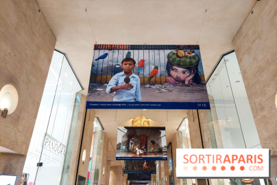 Seth se fait la malle à Paris, nos photos - 20231024 165330