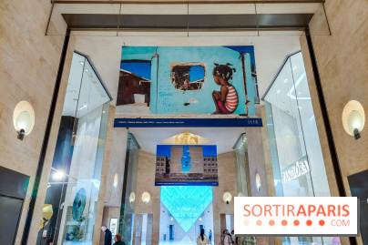 Seth se fait la malle à Paris, nos photos - 20231024 170127