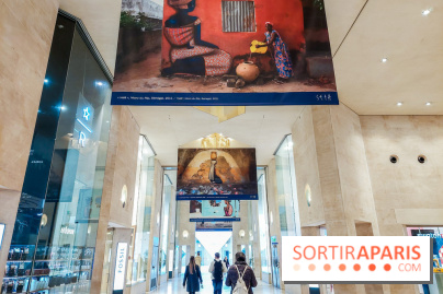 Seth se fait la malle à Paris, nos photos - 20231024 170152