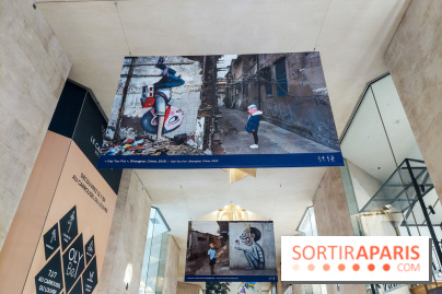 Seth se fait la malle à Paris, nos photos - 20231024 170208