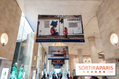Seth se fait la malle à Paris, nos photos - 20231024 170232