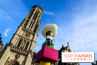 Seth se fait la malle à Paris, nos photos - IMG 1499