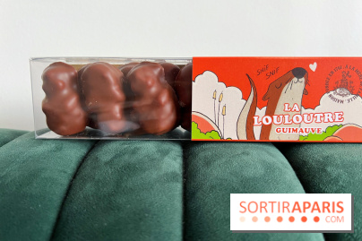 Chocolats de Noël A La Mère de Famille - 9EB972D6 44DF 48CB 9A8E D342F4D10E77