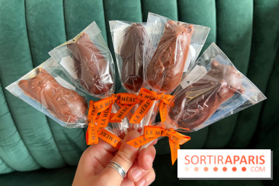 Chocolats de Noël A La Mère de Famille - E4F44208 EED8 41FF 81AD A9153B8AC935