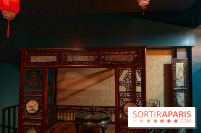 Red Poppy - IMG 6200