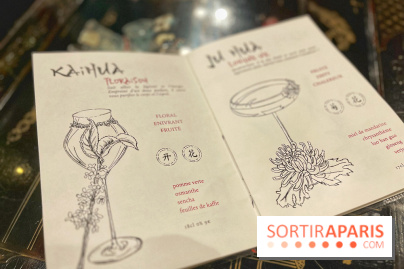 Red Poppy - IMG 6209