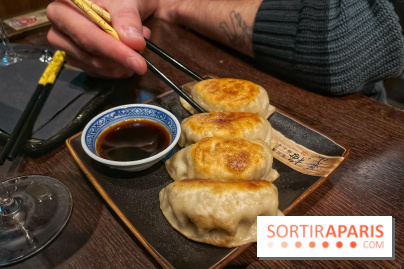 Red Poppy - IMG 6229