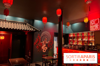 Red Poppy - IMG 6235