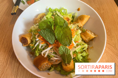 Le Cambodge, cantine de quartier à la délicieuse cuisine cambodgienne et vietnamienne - image00046