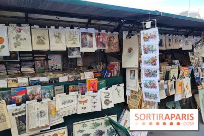 Bouquinistes des quais de Seine - 155733