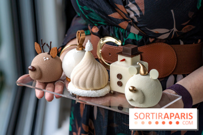 Bûche de Noël de Candy Paradis 2023 -  A7C5082