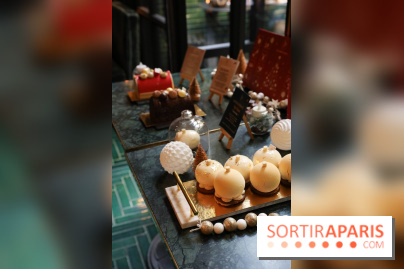 Les Bûches de Noël IG Bas des Belles Envies 2023 - IMG 2772