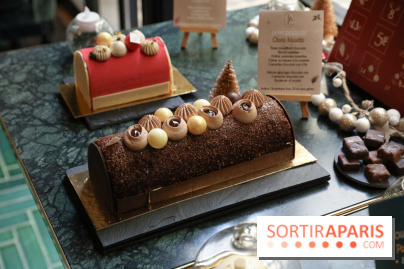 Les Bûches de Noël IG Bas des Belles Envies 2023 - IMG 2775