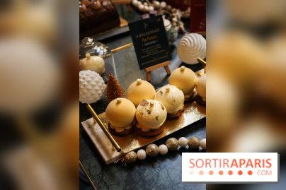 Les Bûches de Noël IG Bas des Belles Envies 2023 - IMG 2777