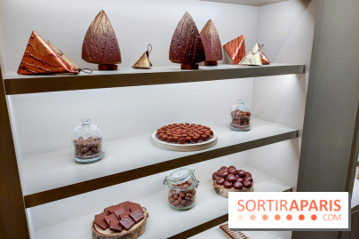 Bûche et chocolats de Noël 2023 signés Alléno & Rivoire - 20230922 103652