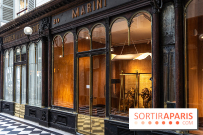 Galerie Vero-Dodat - passage couvert 1er arrondissement de Paris - photos -  A7C4955