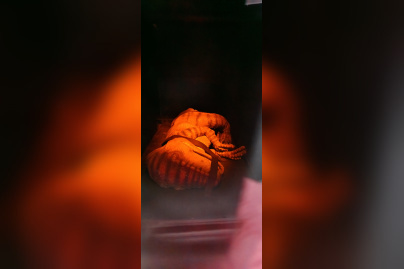 Campagne #31450 - IMG 20250212 152911