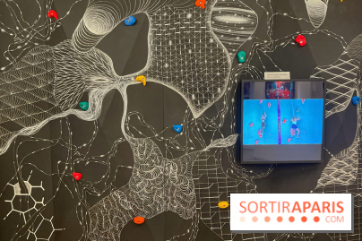 Spot 24