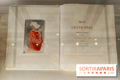 Georges Hugo, l'art d’être petit-fils  - IMG 6523