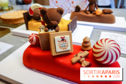 Bûches de Noël 2023 de l'Eclair de Génie - DSC03106