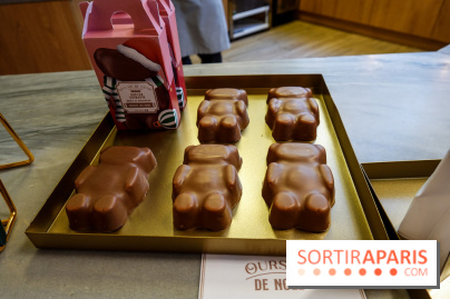 Bûches de Noël 2023 de l'Eclair de Génie