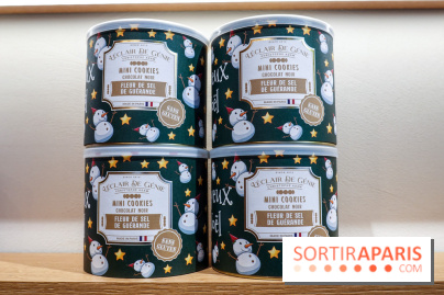 Bûches de Noël 2023 de l'Eclair de Génie