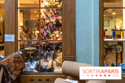 La Galerie Vivienne, le passage couvert le plus charmant de Paris - photos -  A7C6320