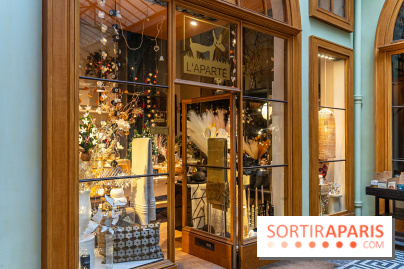 La Galerie Vivienne, le passage couvert le plus charmant de Paris - photos -  A7C6324