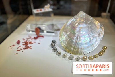 Secrets de Bijoux - IMG 6659