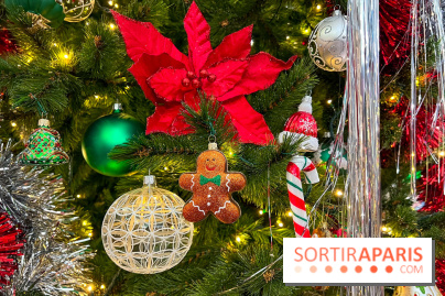 Les vitrines et décors de Noël 2023 du Bon Marché Rive Gauche - image00076