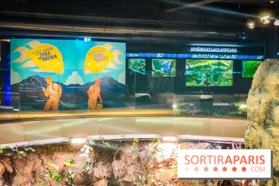 Enquête à Madagascar : nos photos de l'exposition immersive ultra ludique de l'Aquarium tropical - IMG20231113105545