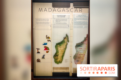 Enquête à Madagascar : nos photos de l'exposition immersive ultra ludique de l'Aquarium tropical - IMG20231113103723