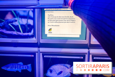 Enquête à Madagascar : nos photos de l'exposition immersive ultra ludique de l'Aquarium tropical - IMG20231113102407