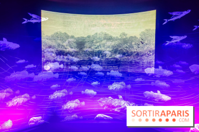 Enquête à Madagascar : nos photos de l'exposition immersive ultra ludique de l'Aquarium tropical - IMG20231113102139
