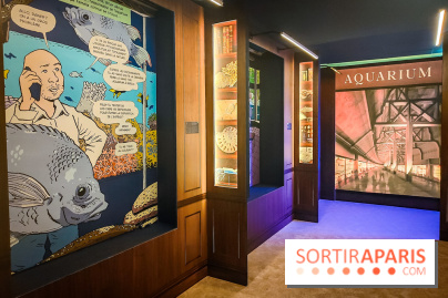 Enquête à Madagascar : nos photos de l'exposition immersive ultra ludique de l'Aquarium tropical